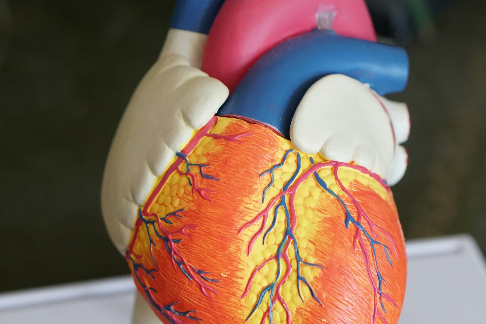 5 Signs You Shouldn't Ignore About Your Heart